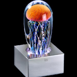 Jellyfish_Pacific_Coast-removebg-preview (1)