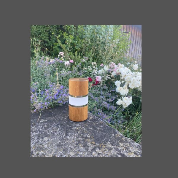 ALED/ Q1 holz – Bild 2